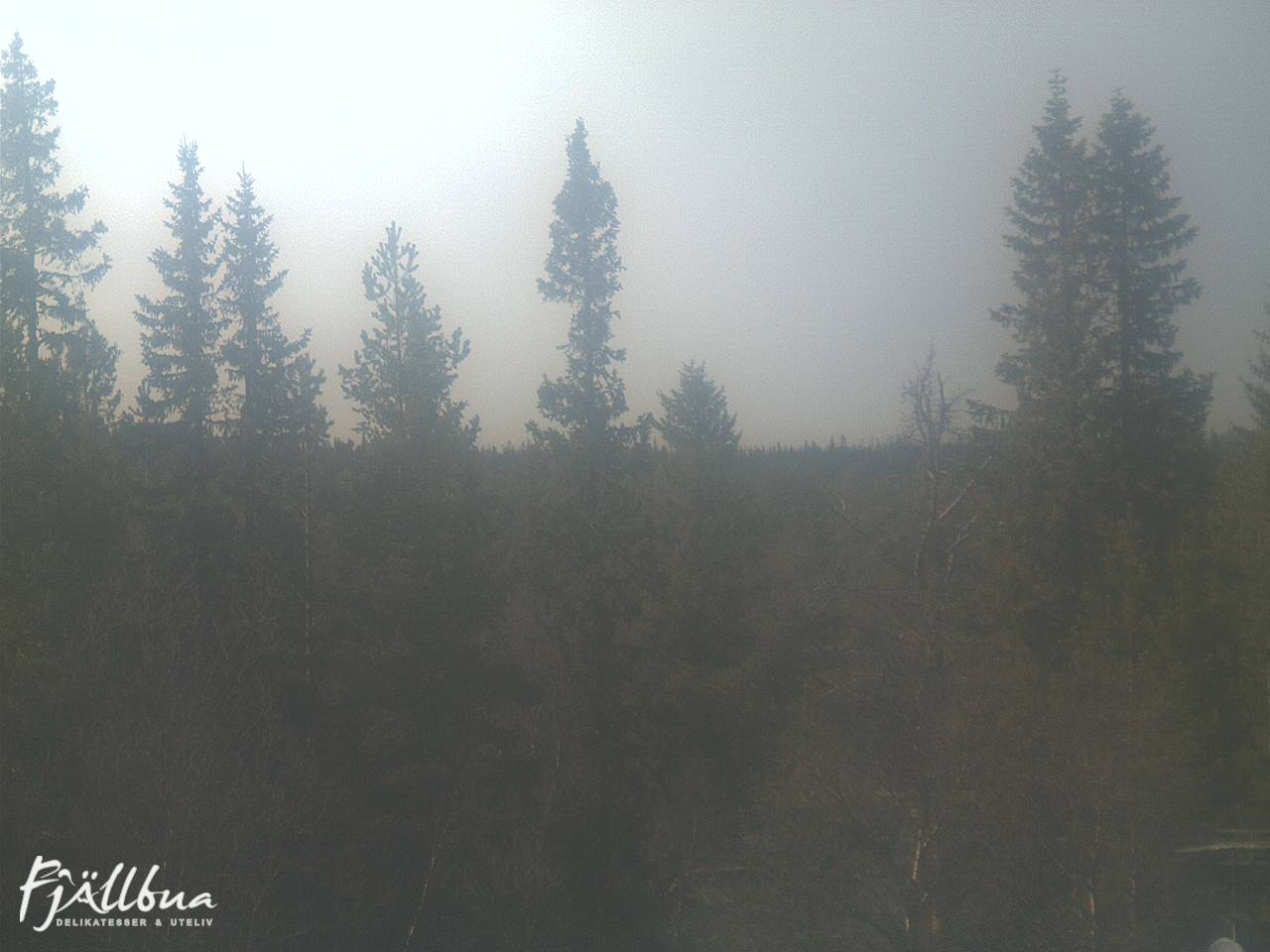 Fjällbua webcam 2025-05-21 16:00